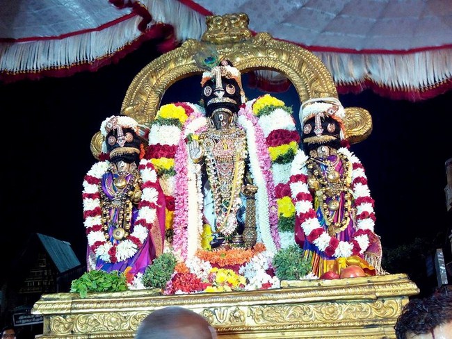 Thiruvallikeni Sri Parthasarathy Perumal Temple Deepavali Purappadu18