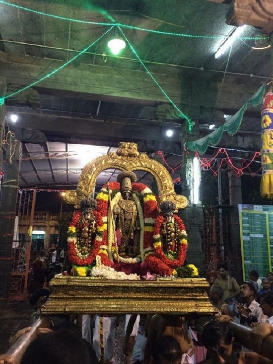 Thiruvallikeni Sri Parthasarathy Perumal Temple Sri Manavala Mamunigal Avatara Utsavam Commences4