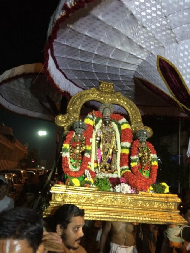 Thiruvallikeni Sri Parthasarathy Perumal Temple Sri Manavala Mamunigal Avatara Utsavam Commences7