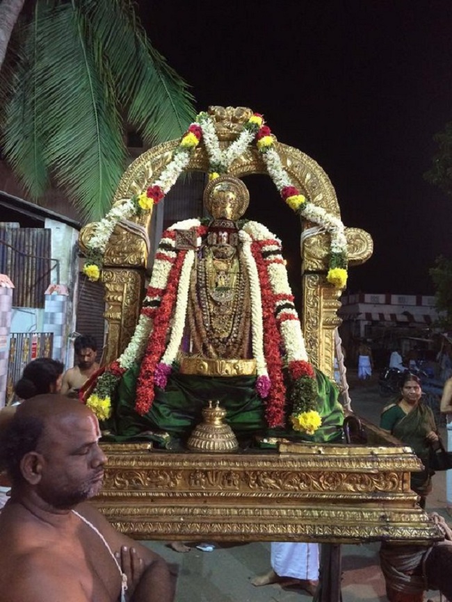 Thiruvallikeni Sri Parthasarathy Perumal Temple Sri Manavala Mamunigal Thirunakshatra Utsavam10