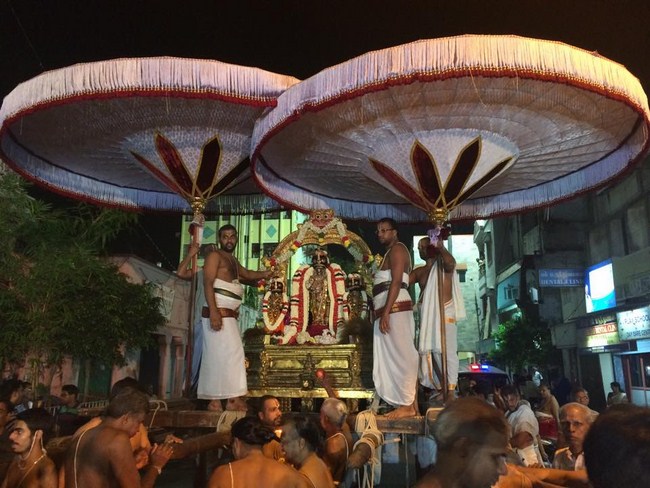 Thiruvallikeni Sri Parthasarathy Perumal Temple Sri Manavala Mamunigal Thirunakshatra Utsavam15