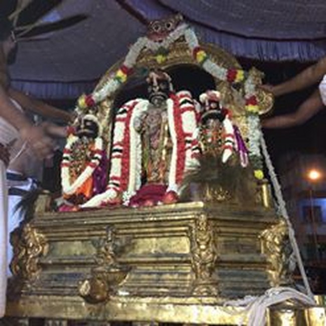 Thiruvallikeni Sri Parthasarathy Perumal Temple Sri Manavala Mamunigal Thirunakshatra Utsavam21