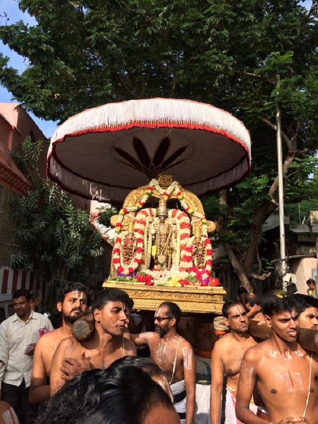Thiruvallikeni Sri Parthasarathy Perumal Temple Sri Manavala Mamunigal Thirunakshatra Utsavam26