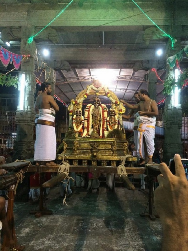 Thiruvallikeni Sri Parthasarathy Perumal Temple Sri Manavala Mamunigal Thirunakshatra Utsavam33