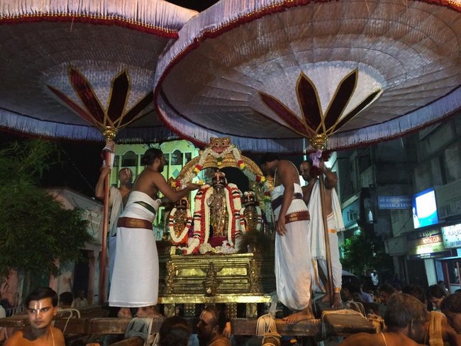 Thiruvallikeni Sri Parthasarathy Perumal Temple Sri Manavala Mamunigal Thirunakshatra Utsavam4