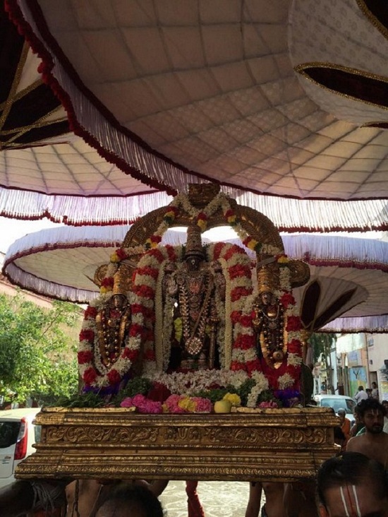 Thiruvallikeni Sri Parthasarathy Perumal Temple Sri Manavala Mamunigal Thirunakshatra Utsavam9