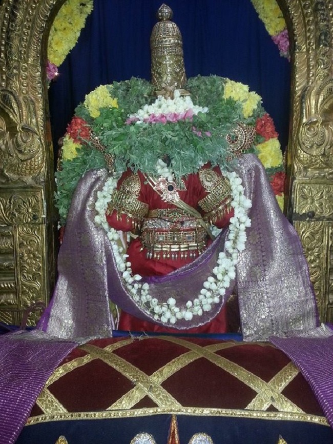Thiruvallur Sri Veeraraghava Perumal Temple Navarathiri Utsavam10