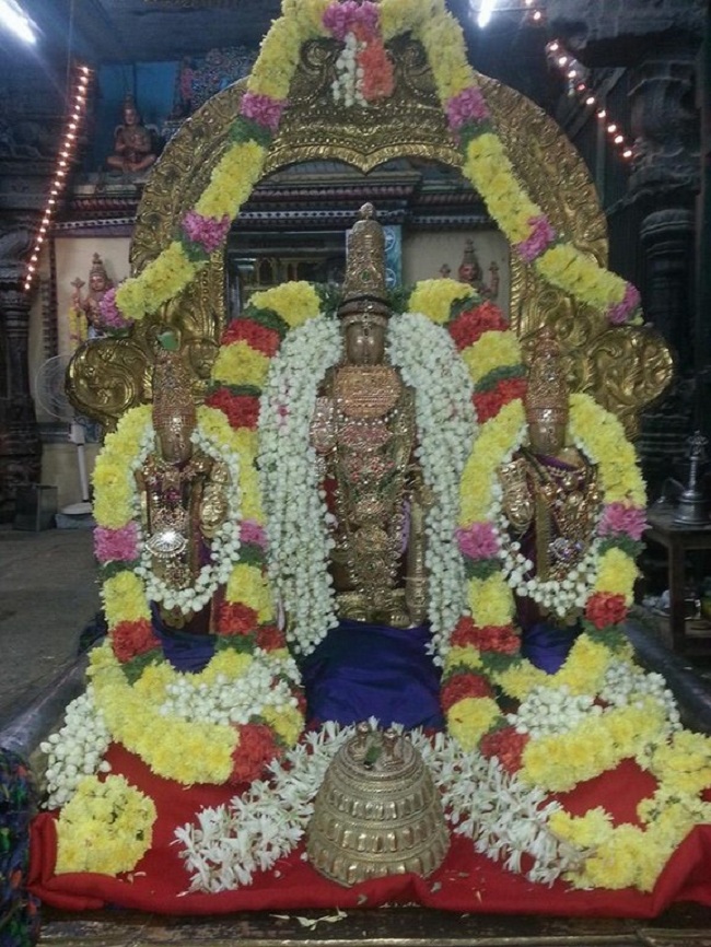 Thiruvallur Sri Veeraraghava Perumal Temple Navarathiri Utsavam1