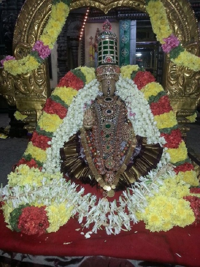 Thiruvallur Sri Veeraraghava Perumal Temple Navarathiri Utsavam11