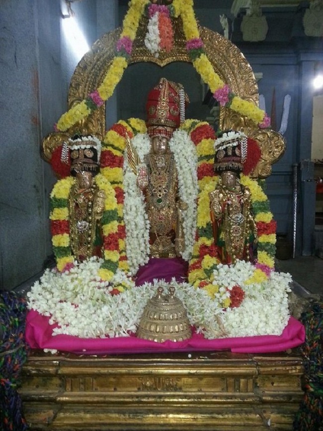Thiruvallur Sri Veeraraghava Perumal Temple Navarathiri Utsavam19