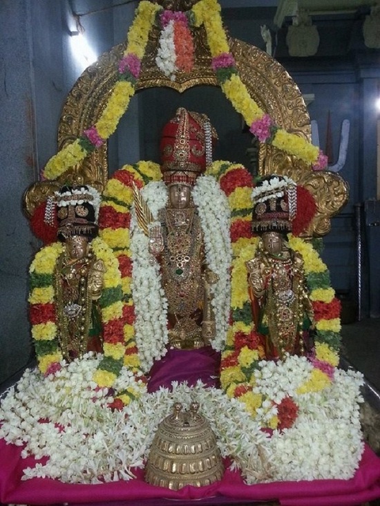 Thiruvallur Sri Veeraraghava Perumal Temple Navarathiri Utsavam23