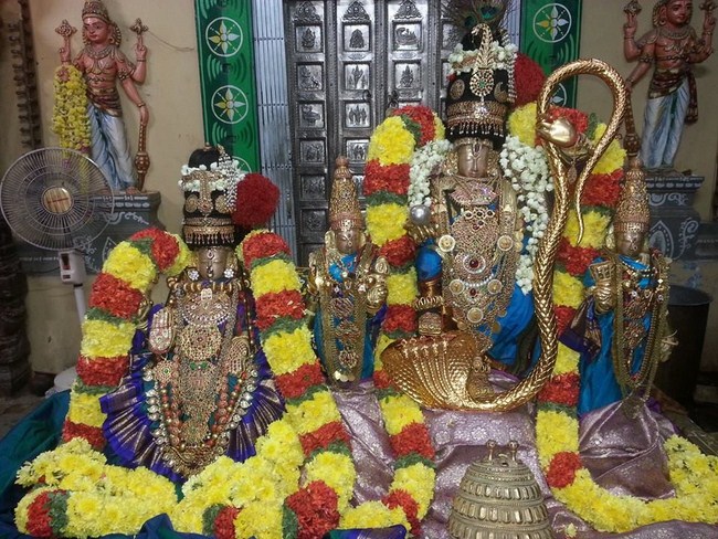 Thiruvallur Sri Veeraraghava Perumal Temple Navarathiri Utsavam23