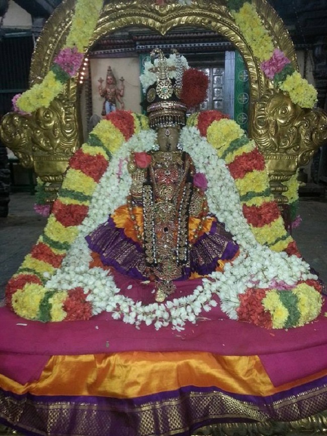 Thiruvallur Sri Veeraraghava Perumal Temple Navarathiri Utsavam24