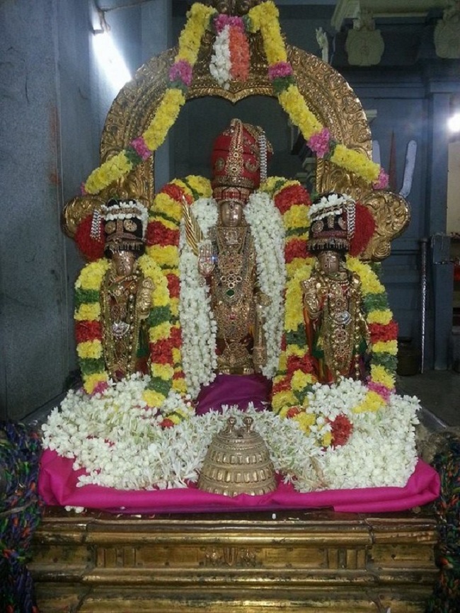 Thiruvallur Sri Veeraraghava Perumal Temple Navarathiri Utsavam28