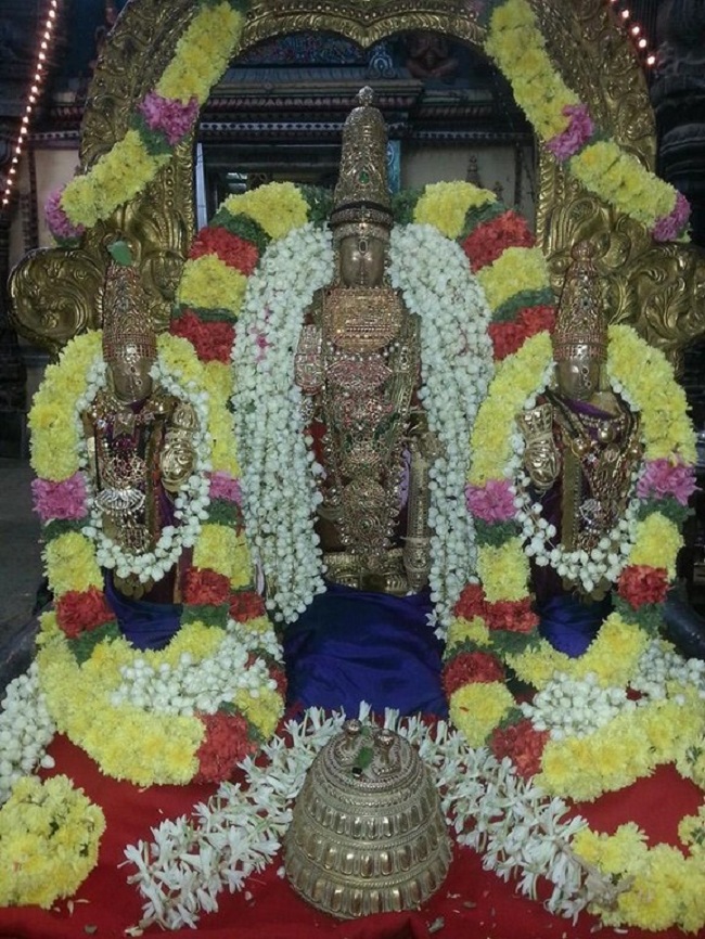 Thiruvallur Sri Veeraraghava Perumal Temple Navarathiri Utsavam5