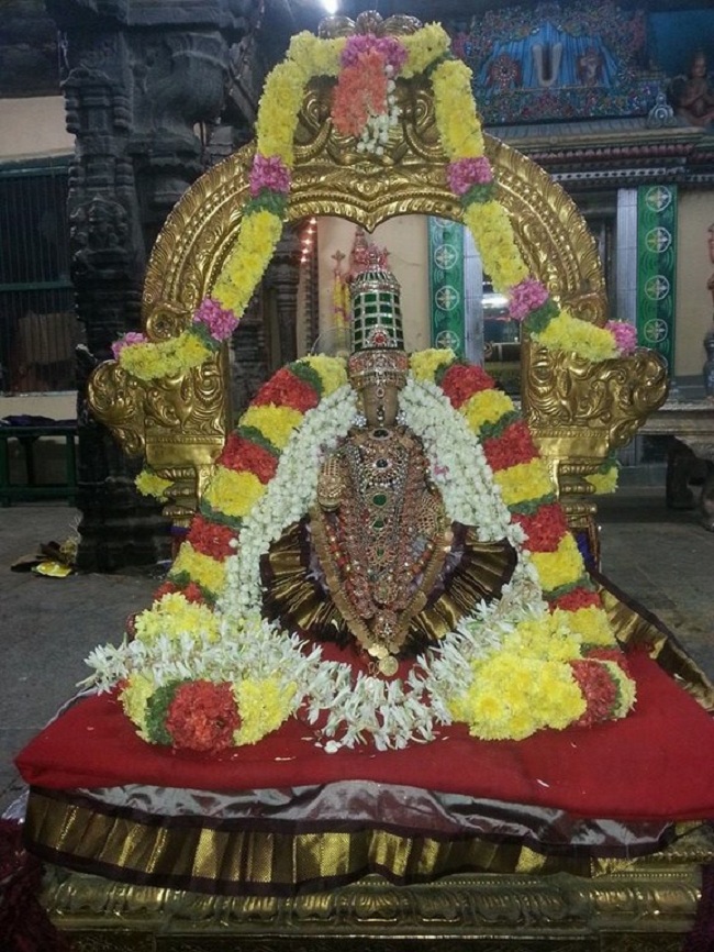 Thiruvallur Sri Veeraraghava Perumal Temple Navarathiri Utsavam6