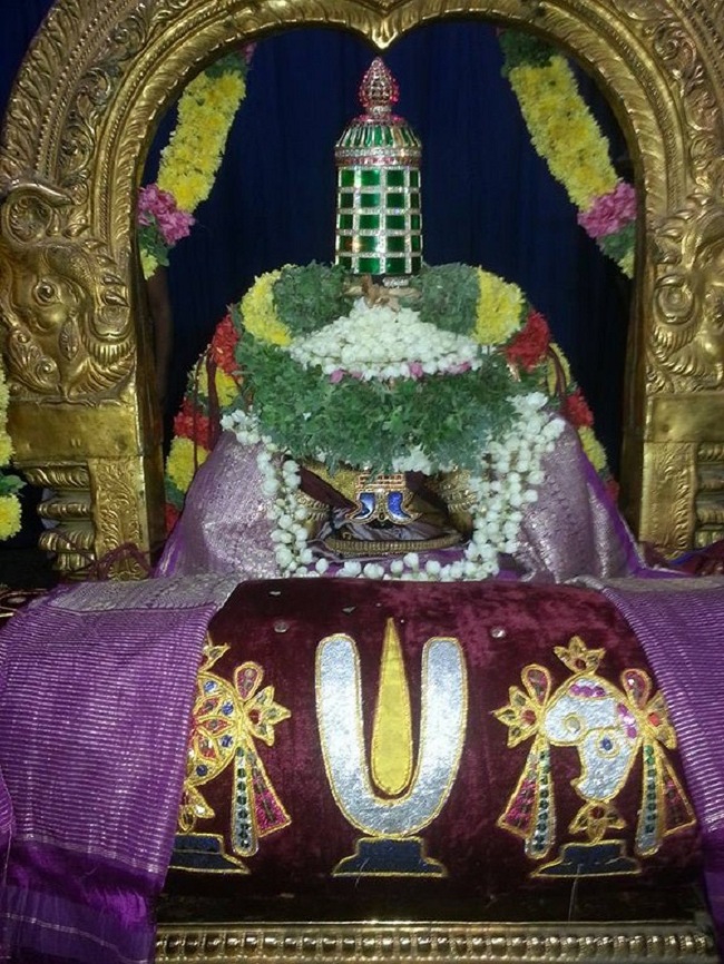 Thiruvallur Sri Veeraraghava Perumal Temple Navarathiri Utsavam7
