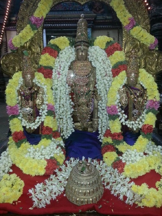 Thiruvallur Sri Veeraraghava Perumal Temple Navarathiri Utsavam8
