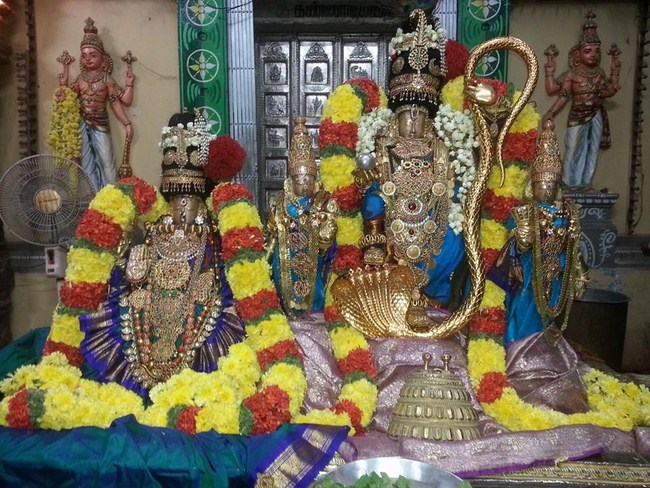 Thiruvallur Sri Veeraraghava Perumal Temple Navarathiri Utsavam8