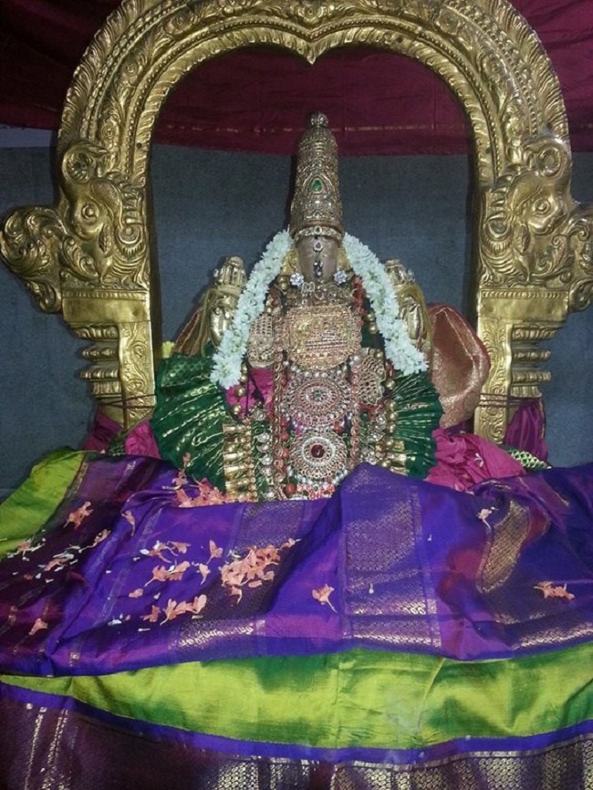 Thiruvallur Sri Veeraraghava Perumal Temple Swami Desikan Thirunakshatra Mahotsavam12