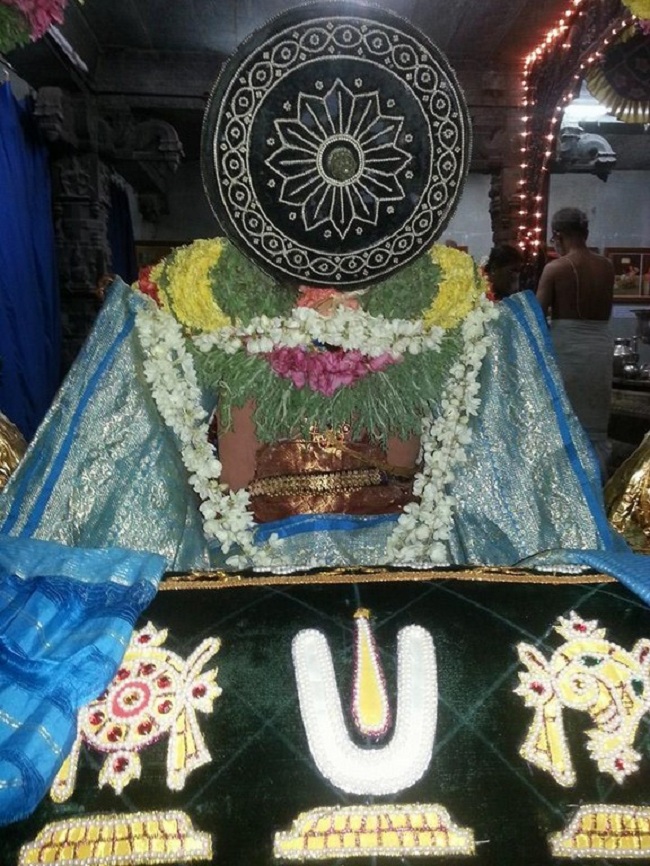 Thiruvallur Sri Veeraraghava Perumal Temple Swami Desikan Thirunakshatra Mahotsavam15