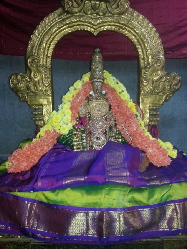 Thiruvallur Sri Veeraraghava Perumal Temple Swami Desikan Thirunakshatra Mahotsavam35