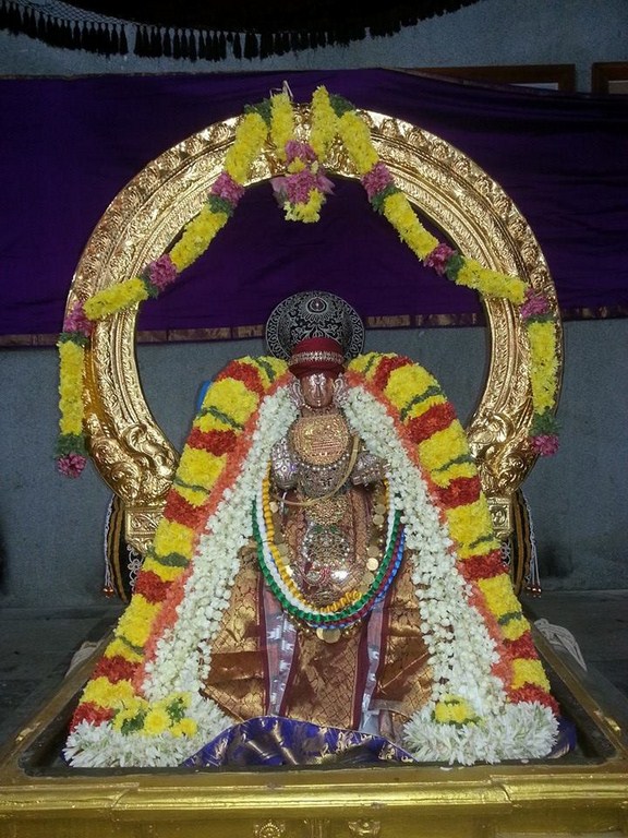 Thiruvallur Sri Veeraraghava Perumal Temple Swami Desikan Thirunakshatra Mahotsavam36