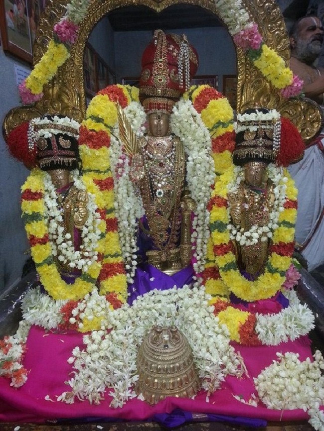 Thiruvallur Sri Veeraraghava Perumal Temple Swami Desikan Thirunakshatra Mahotsavam6