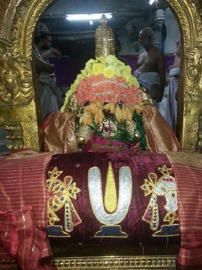 Thiruvallur Sri Veeraraghava Perumal Temple Swami Desikan Thirunakshatra Mahotsavam7