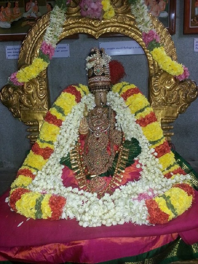 Thiruvallur Sri Veeraraghava Perumal Temple Swami Desikan Thirunakshatra Mahotsavam8