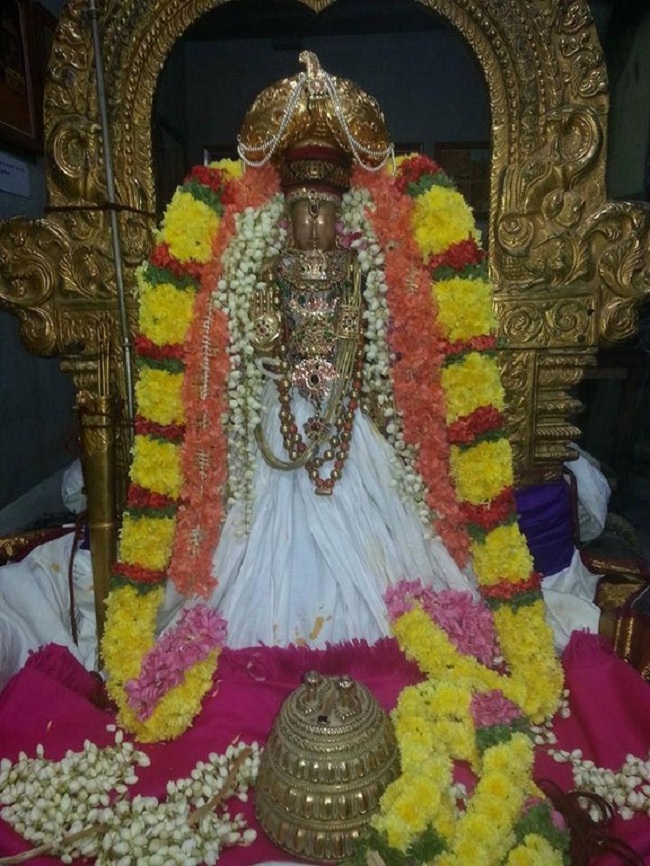 Thiruvallur Sri Veeraraghava Perumal Temple Vijayadasmi Parivettai Utsavam10