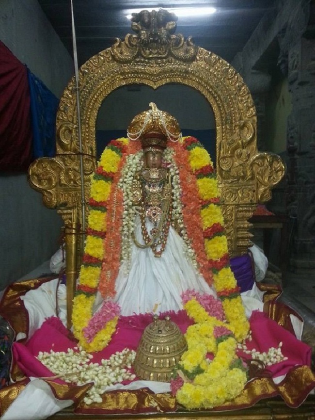 Thiruvallur Sri Veeraraghava Perumal Temple Vijayadasmi Parivettai Utsavam15