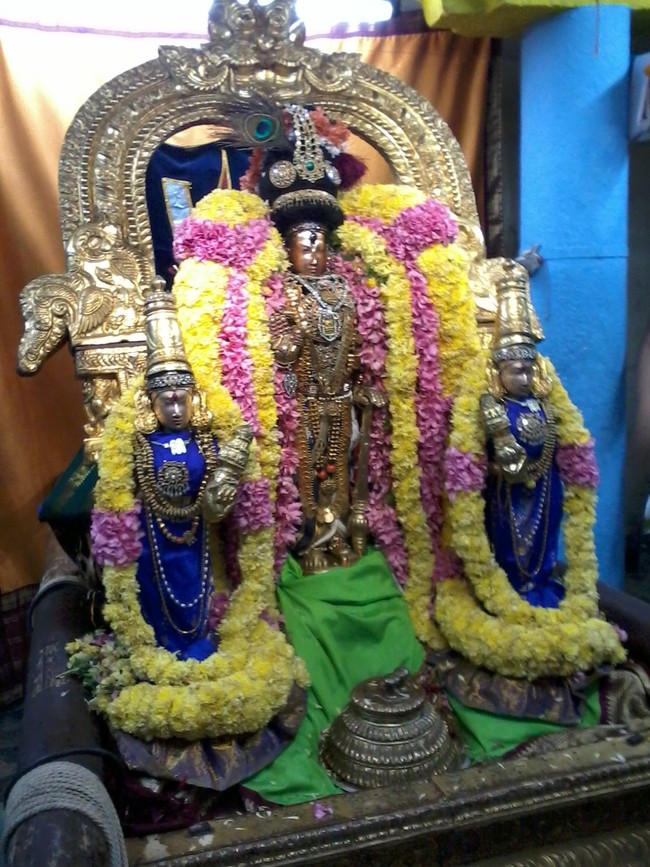 Thiruvekka Sri  Manavala Mamunigal Utsavam Satrumurai 2014  05
