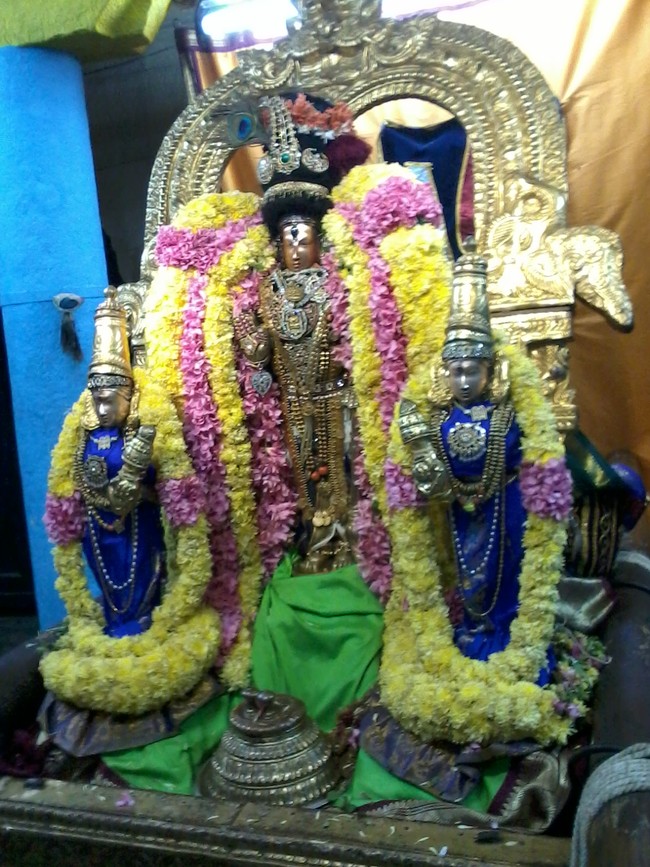 Thiruvekka Sri  Manavala Mamunigal Utsavam Satrumurai 2014  06