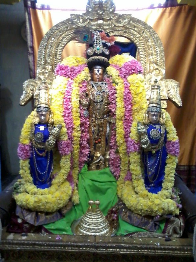 Thiruvekka Sri  Manavala Mamunigal Utsavam Satrumurai 2014  07
