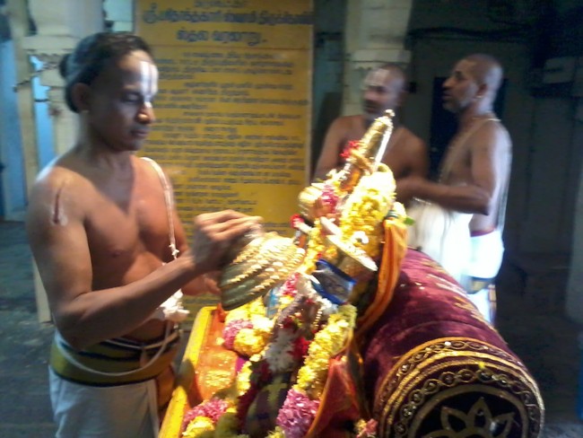 Thiruvekka Sri  Manavala Mamunigal Utsavam Satrumurai 2014  19