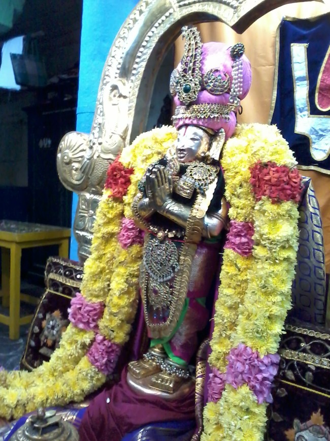 Thiruvekka sri poigai azhwar utsavam day 8  2014  4