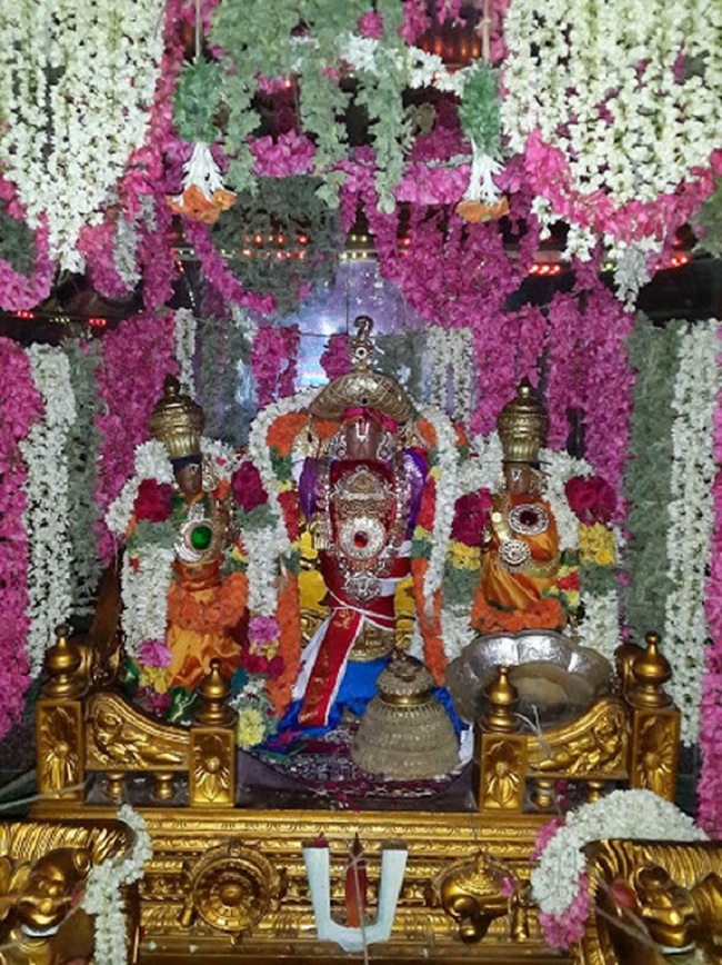 Thiruvellakkulam Sri Annan Perumal Kovil Brahmotsavam12