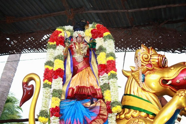 Thiruvellakkulam Sri Annan Perumal Kovil Brahmotsavam15