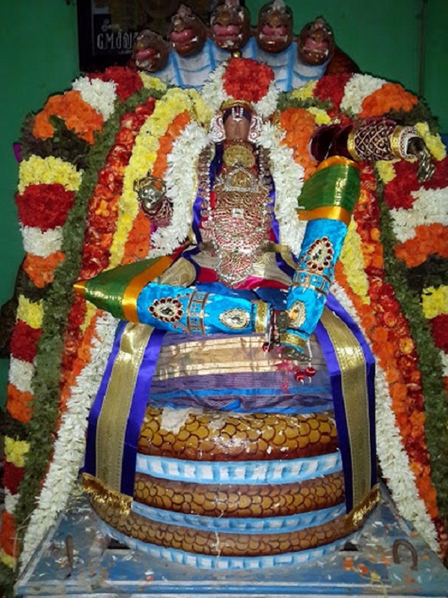 Thiruvellakkulam Sri Annan Perumal Kovil Brahmotsavam30