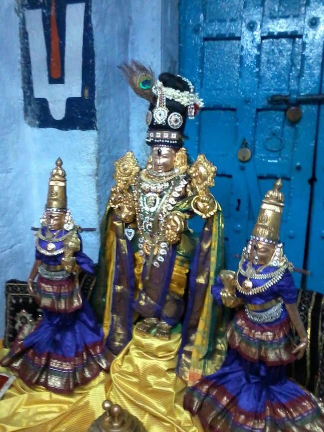 Thiruvelukkai Sri  Manavala Mamunigal Utsavam Satrumurai 2014  04
