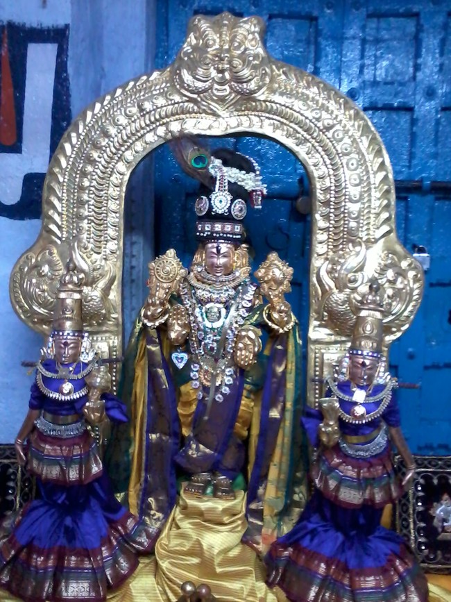 Thiruvelukkai Sri  Manavala Mamunigal Utsavam Satrumurai 2014  07