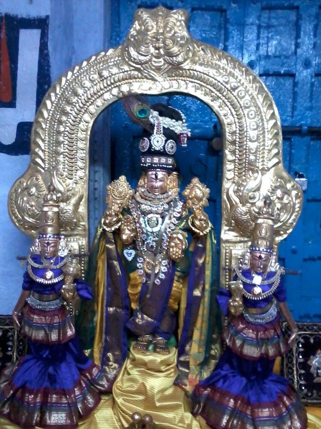 Thiruvelukkai Sri  Manavala Mamunigal Utsavam Satrumurai 2014  08