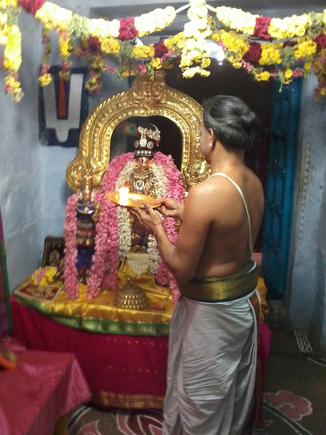 Thiruvelukkai Sri  Manavala Mamunigal Utsavam Satrumurai 2014  13