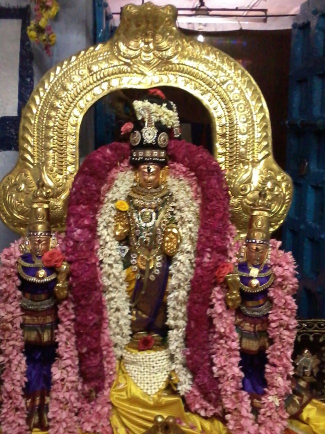Thiruvelukkai Sri  Manavala Mamunigal Utsavam Satrumurai 2014  15