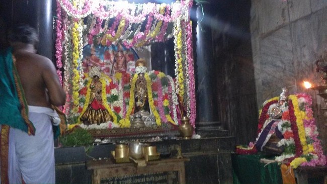 Thiruvinnagar Sri Oppilliappan Venkatachalapathi Temple Swami Desikan Thirunakshatra Utsavam14