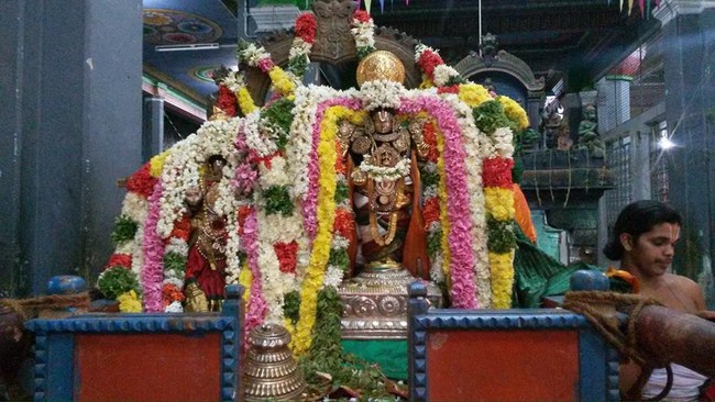 Thiruvinnagar Sri Oppilliappan Venkatachalapathi Temple Swami Desikan Thirunakshatra Utsavam19