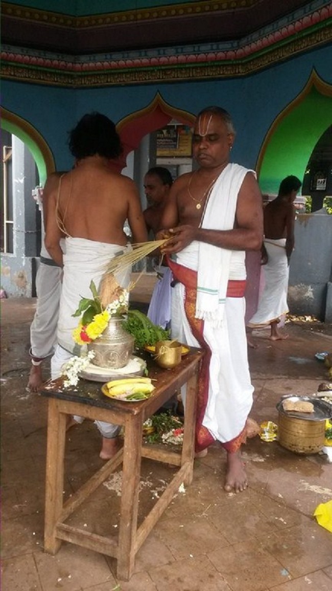 Thiruvinnagar Sri Oppilliappan Venkatachalapathi Temple Swami Desikan Thirunakshatra Utsavam36