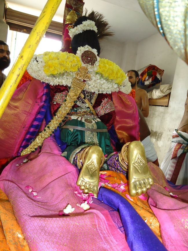 Thoopul Swami Desikan Utsavam Day 8 Morning  2014 18