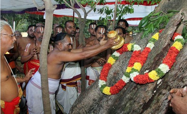 Tirumala Sri Malayappaswamy Temple Bagh Savari Utsavam4
